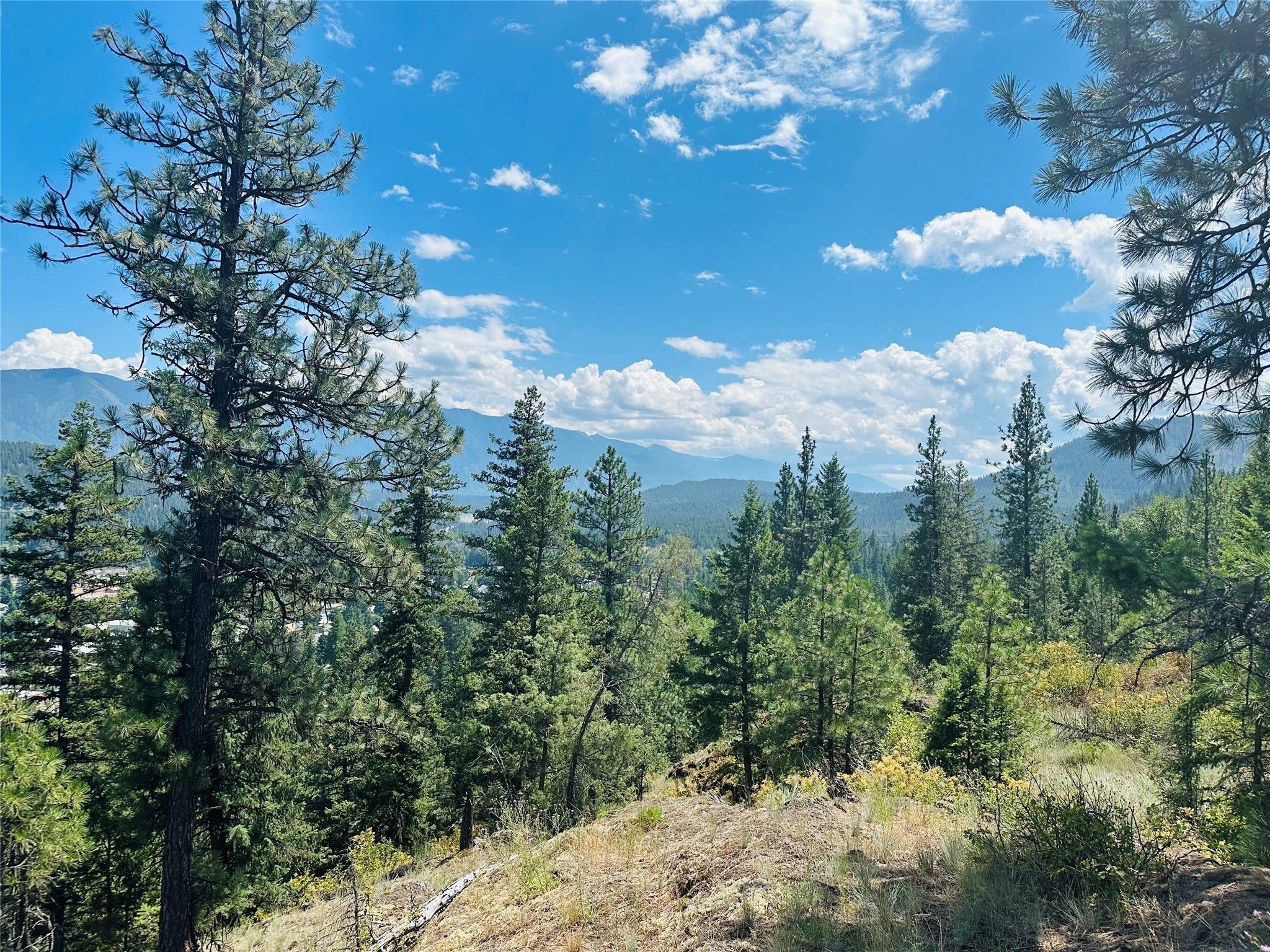 Troy, Lincoln County, MT Undeveloped Land for sale Property ID