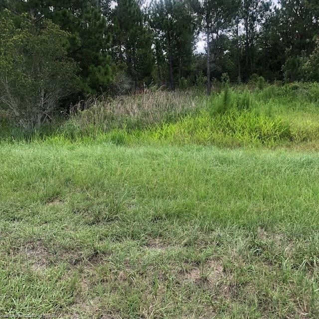 Avon Park, Highlands County, FL Undeveloped Land, Homesites for sale