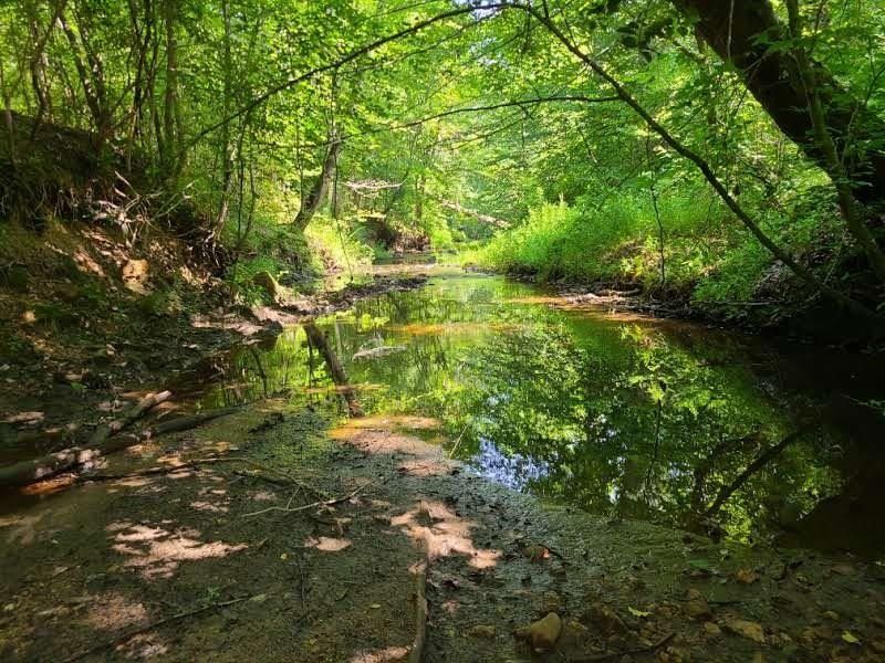 Victoria, Lunenburg County, VA Farms and Ranches for sale Property ID