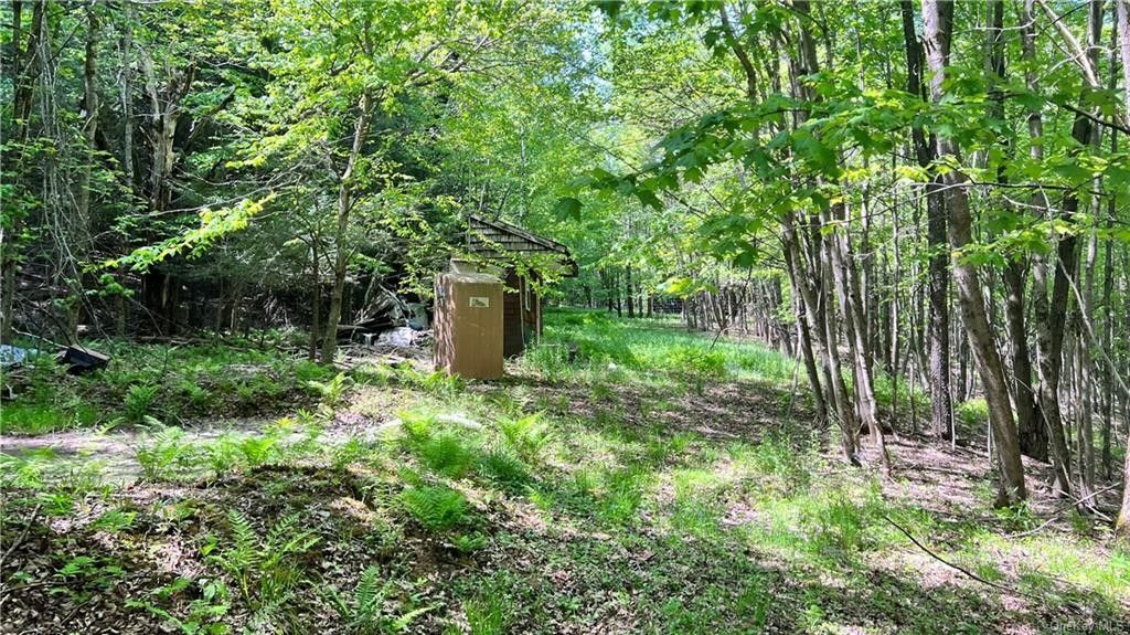 Middletown, Delaware County, NY Undeveloped Land for sale Property ID