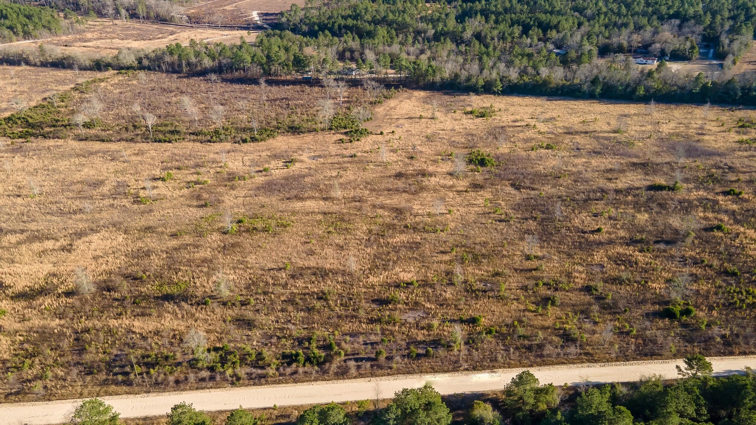 Aiken County, SC Undeveloped Land for sale Property ID