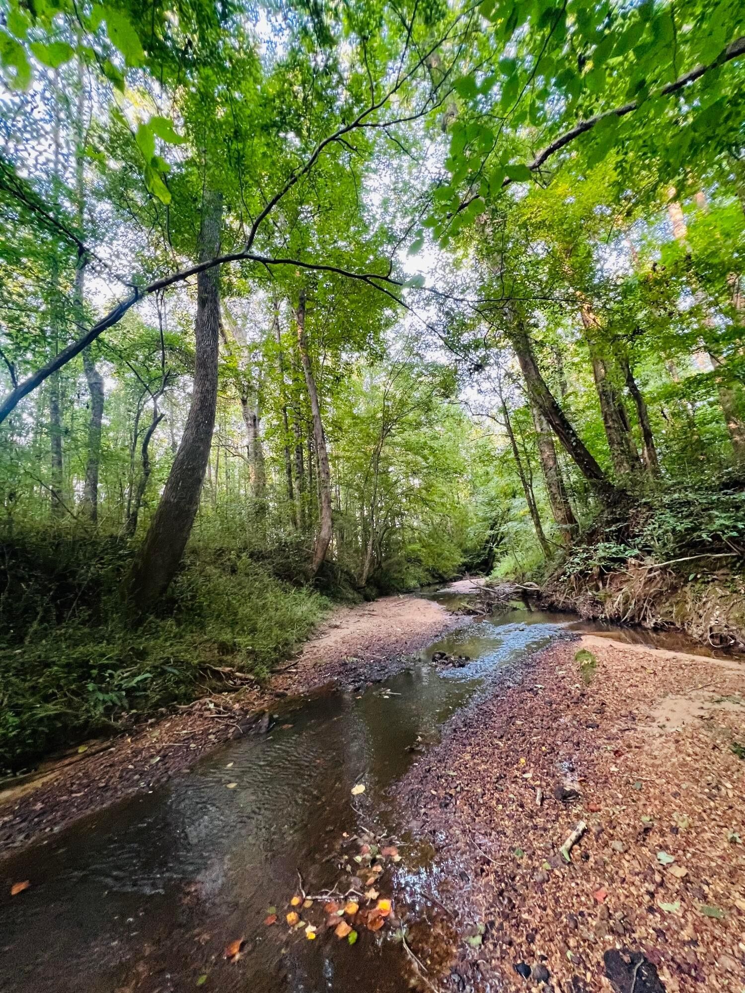 Fayette, Fayette County, AL Undeveloped Land for sale Property ID