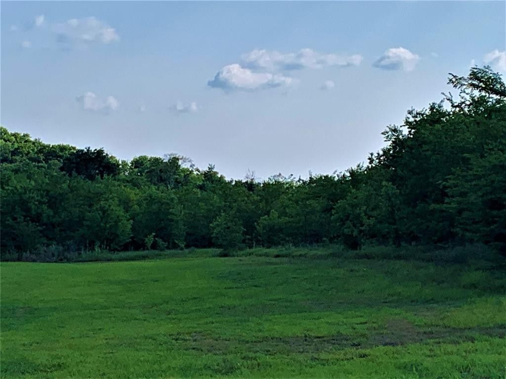 Whitewright, Grayson County, TX Undeveloped Land for sale Property ID