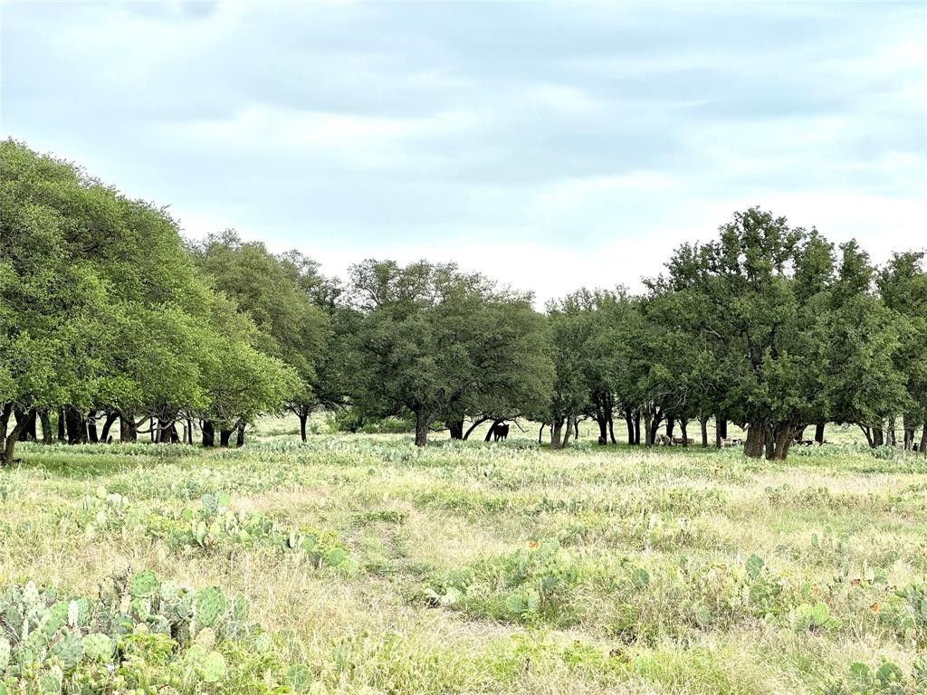 Mullin, Mills County, TX Farms and Ranches for sale Property ID