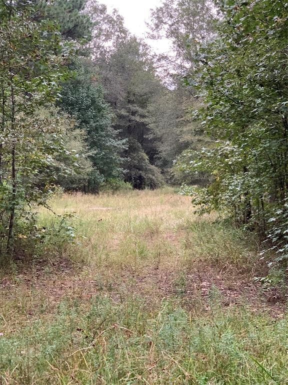 Princeton, Bossier Parish, LA Undeveloped Land for sale Property ID 416945444 LandWatch