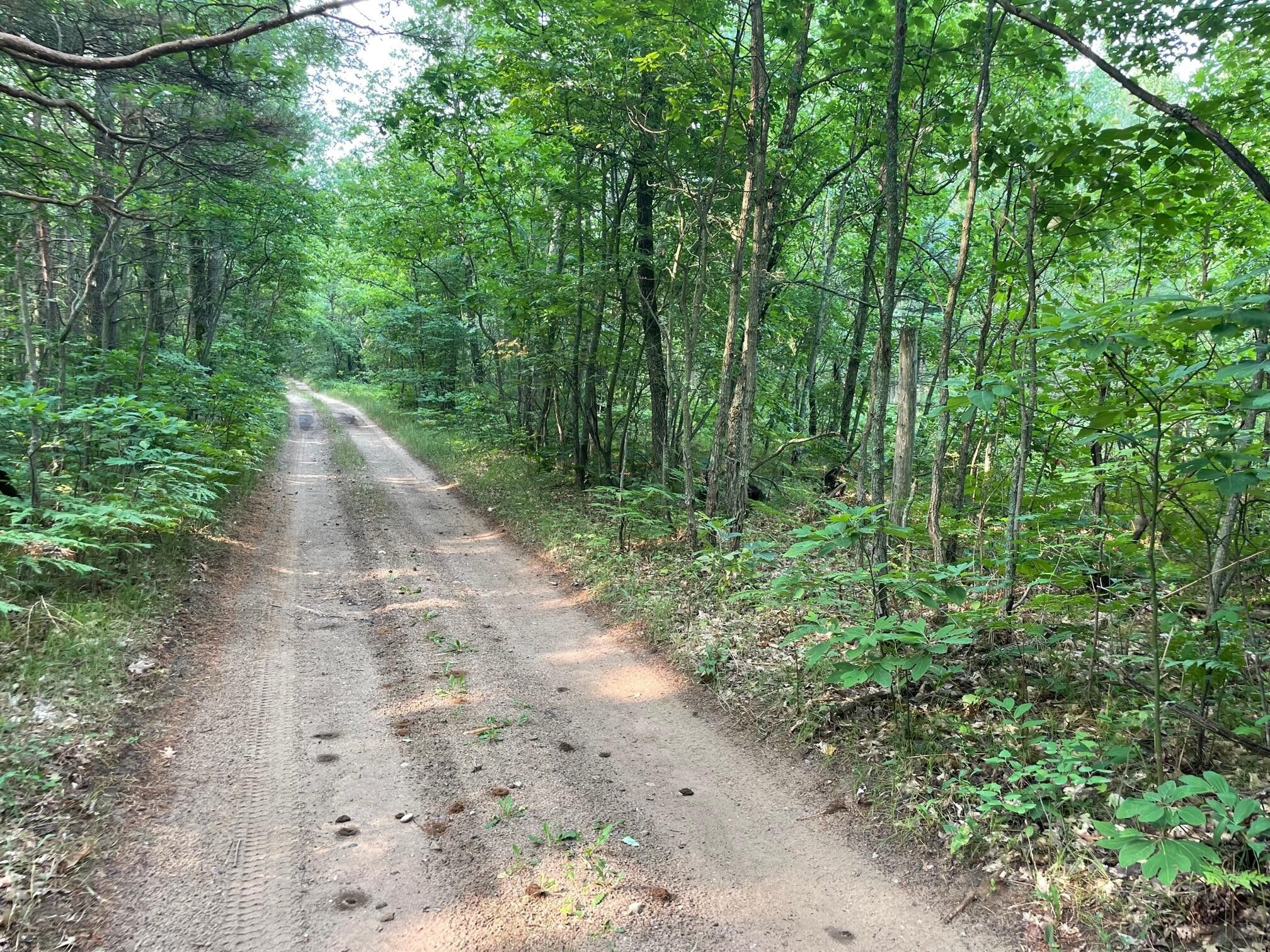 Wellston, Manistee County, MI Undeveloped Land for sale Property ID