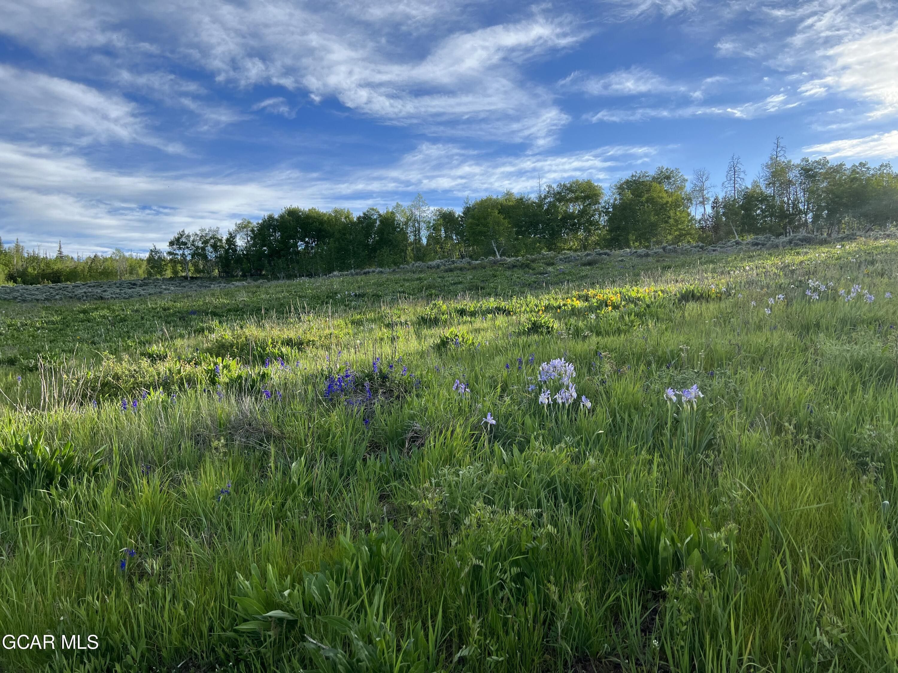 Kremmling, Grand County, CO Farms and Ranches for sale Property ID