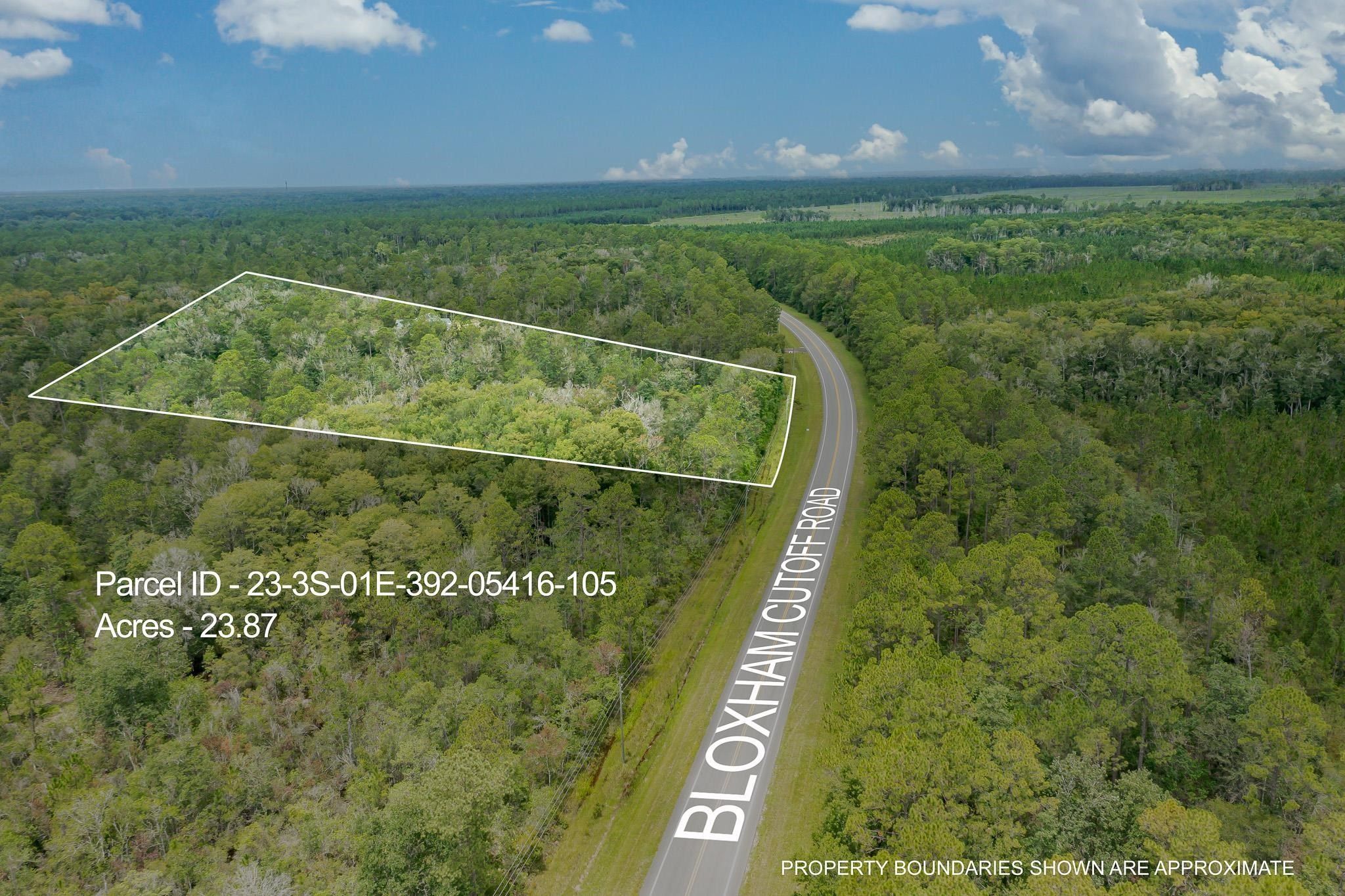 Crawfordville, Wakulla County, FL Undeveloped Land for sale Property ID
