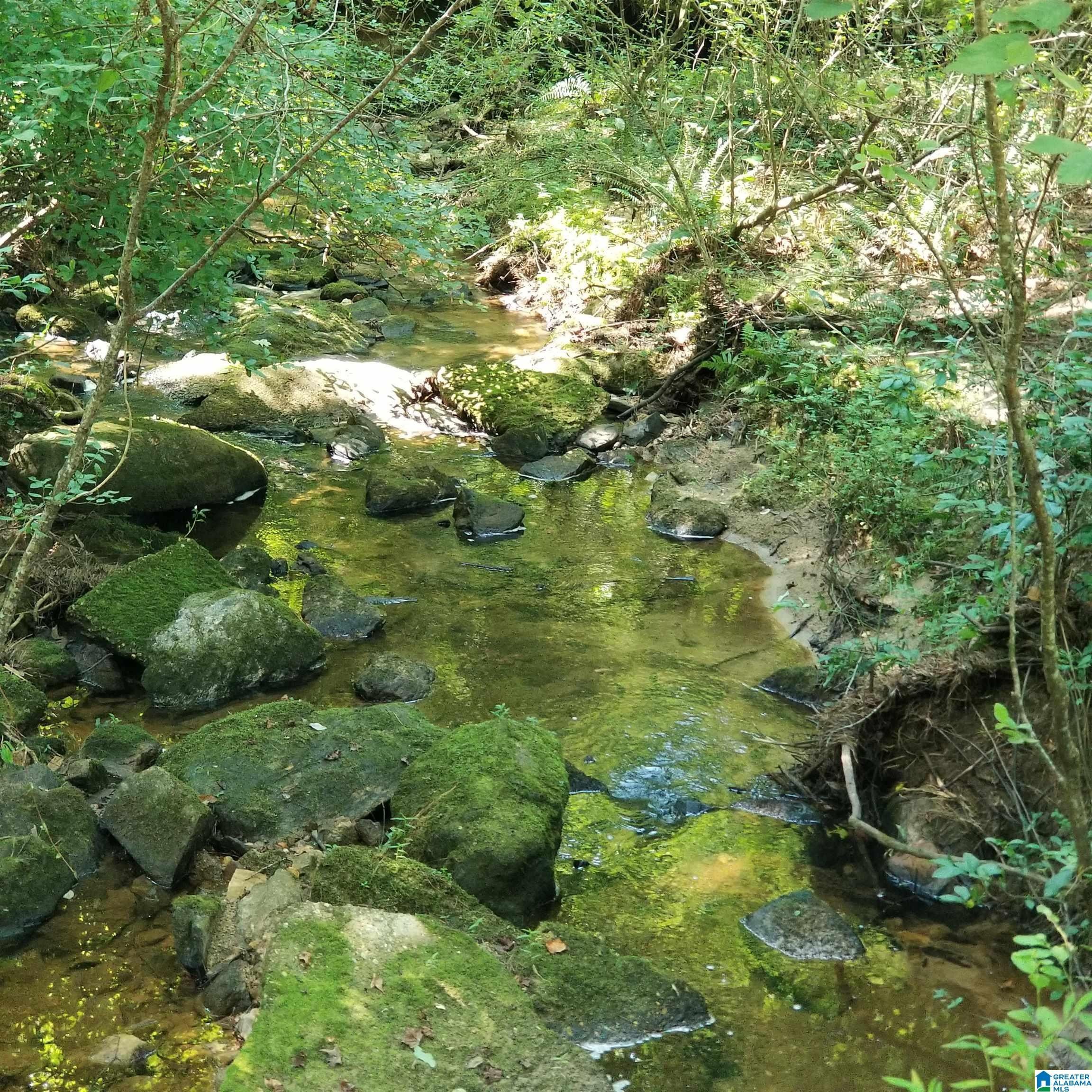 Roanoke, Randolph County, AL Undeveloped Land for sale Property ID