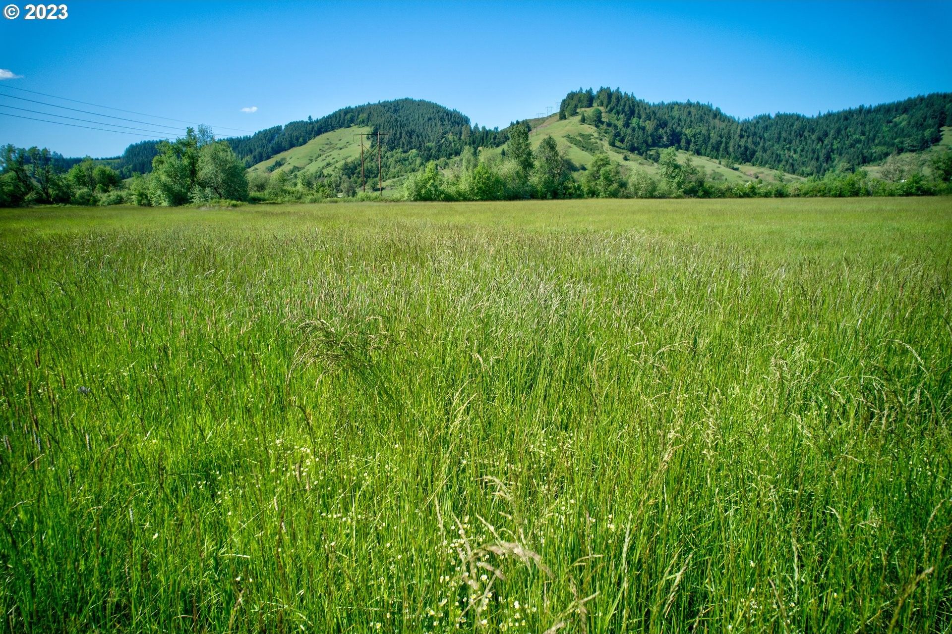 Yoncalla, Douglas County, OR Farms and Ranches for sale Property ID