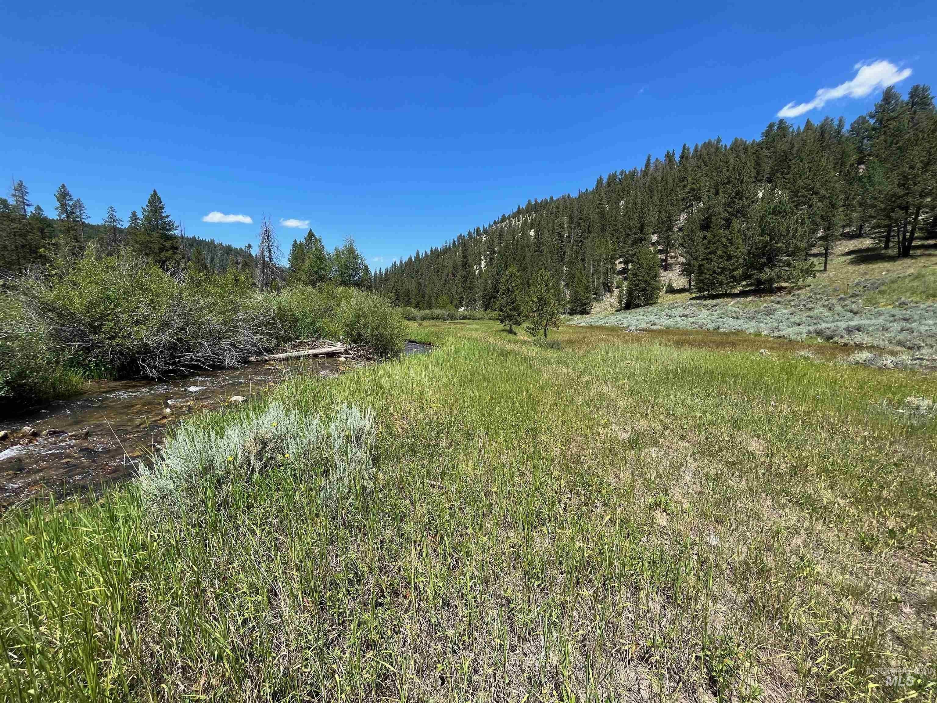 Salmon, Lemhi County, ID Undeveloped Land, Lakefront Property