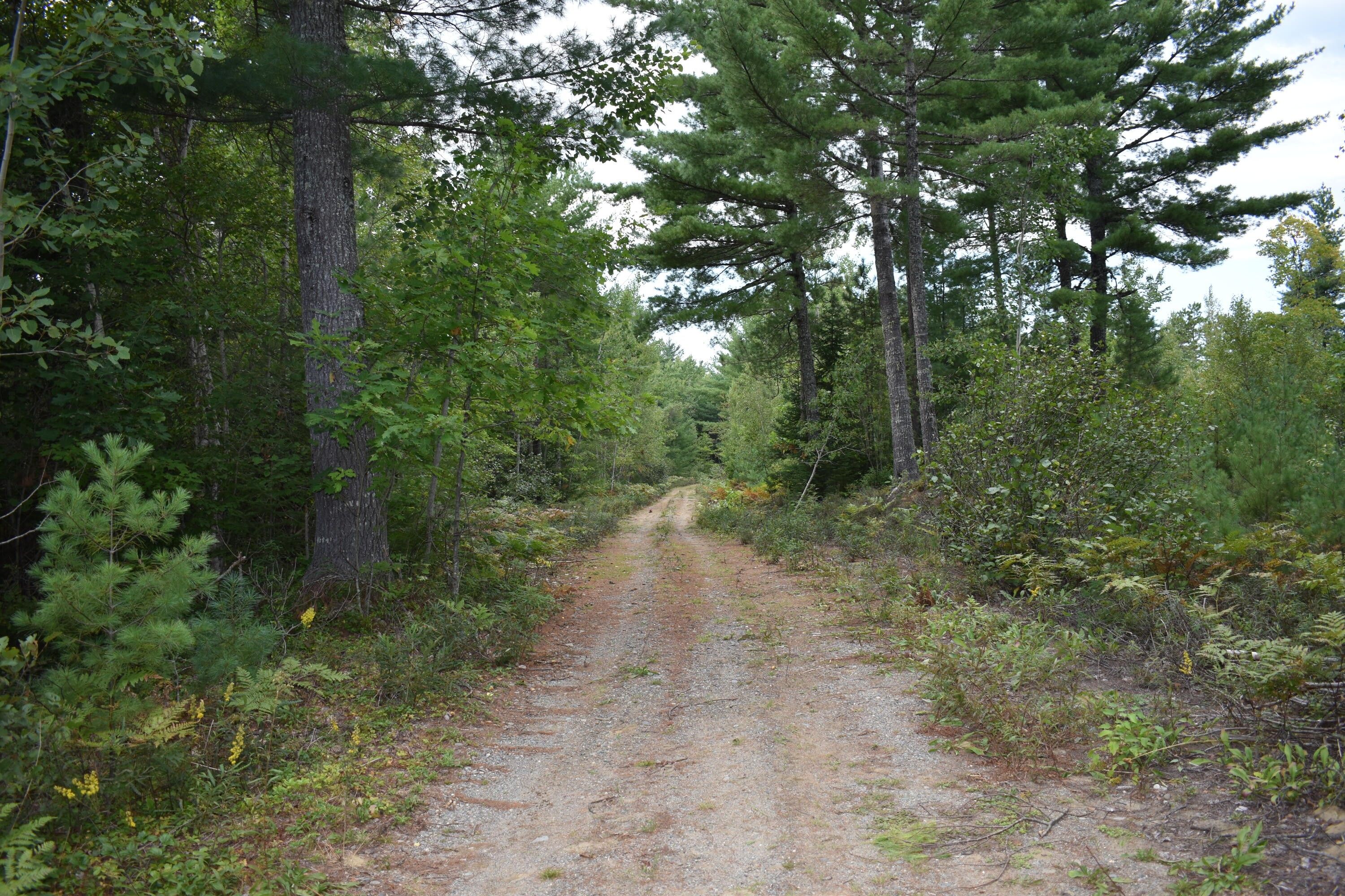 Greenbush, Penobscot County, ME Undeveloped Land, Lakefront Property