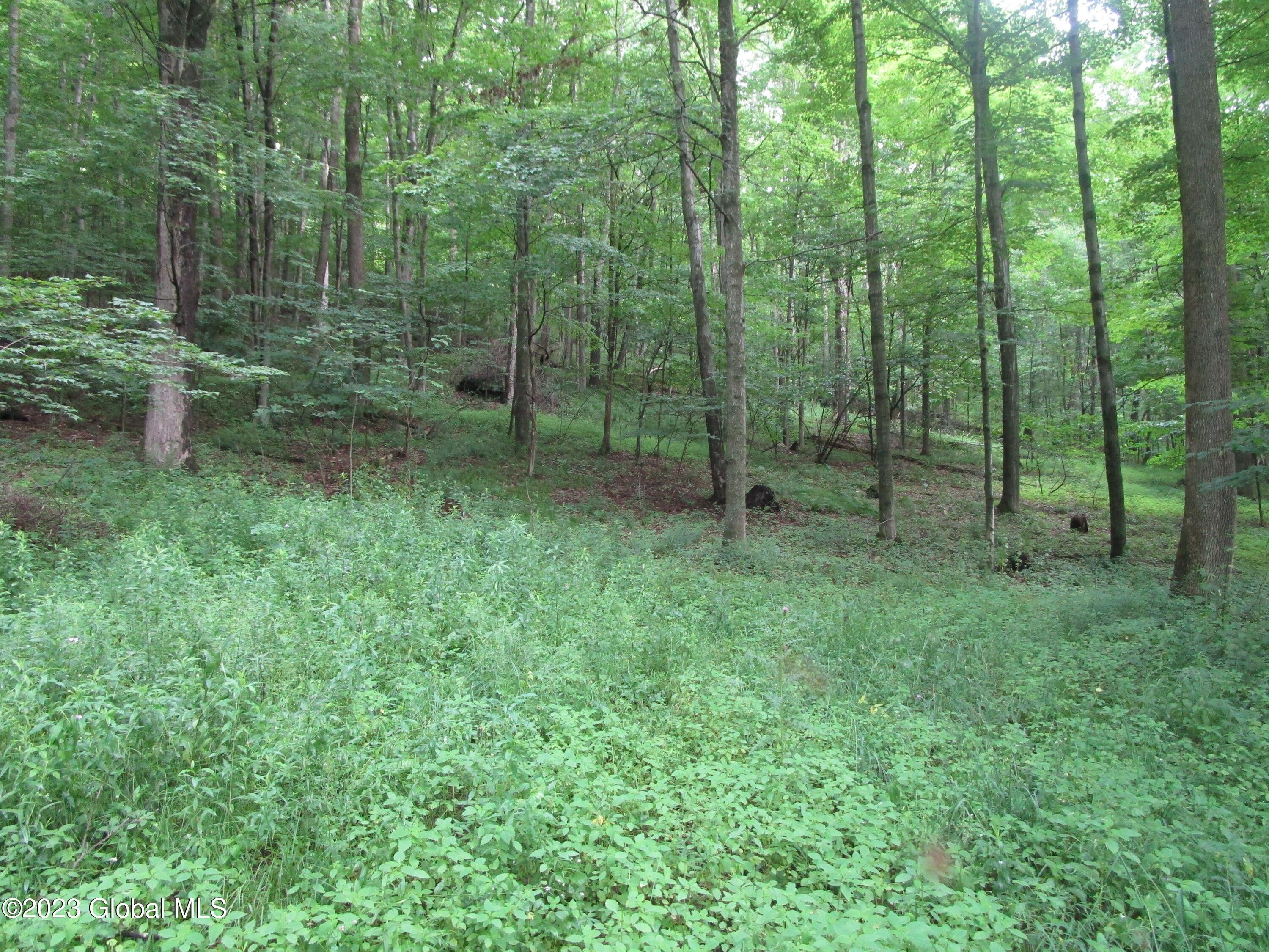 Worcester, Otsego County, NY Undeveloped Land for sale Property ID