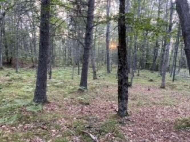 Woolwich, Sagadahoc County, ME Undeveloped Land for sale Property ID