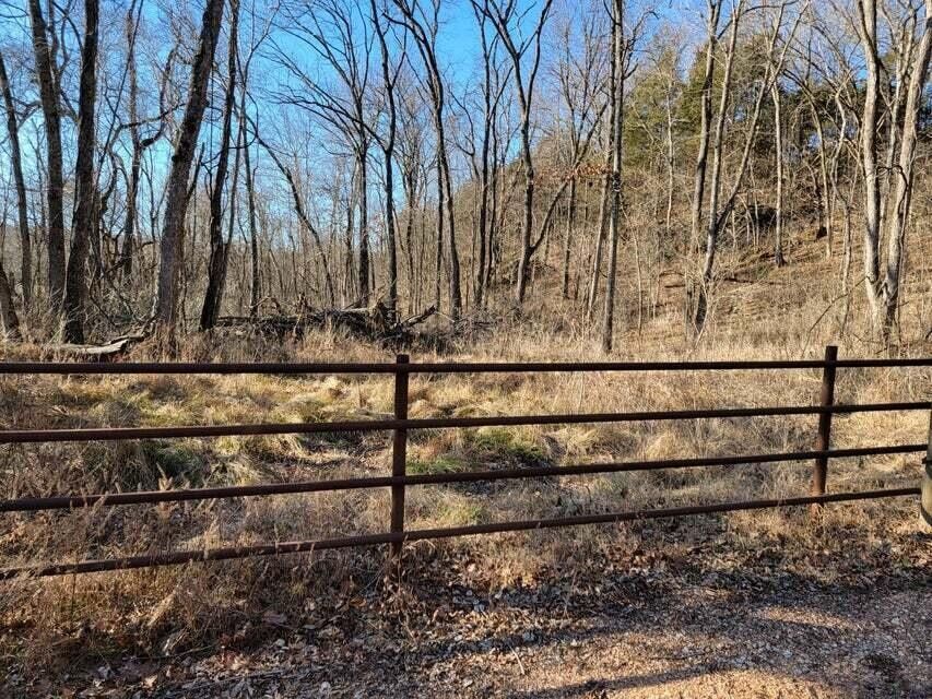 Fordland, Christian County, MO Undeveloped Land for sale Property ID