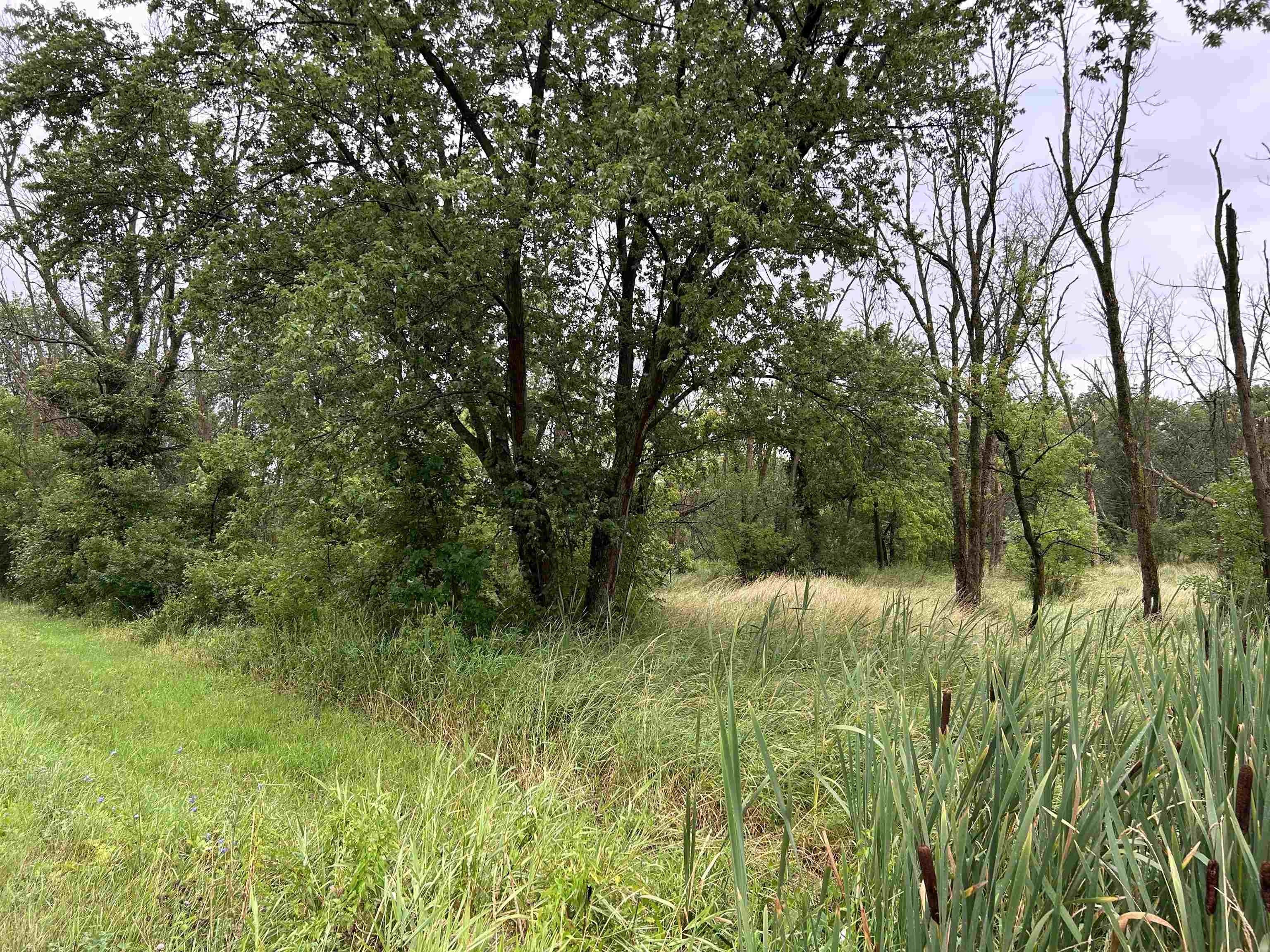 Freeport, Stephenson County, IL Undeveloped Land for sale Property ID