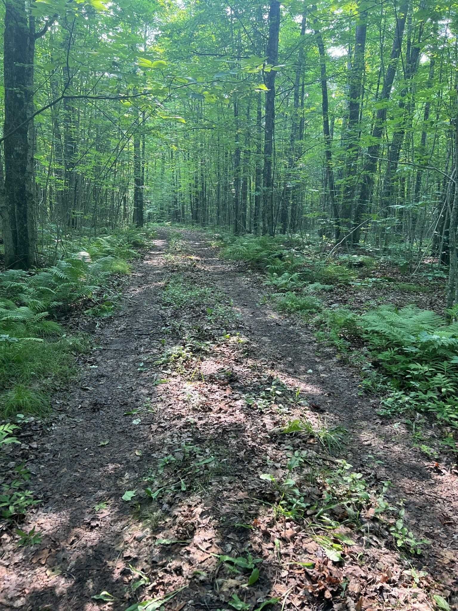 Long Lake, Florence County, WI Undeveloped Land for sale Property ID