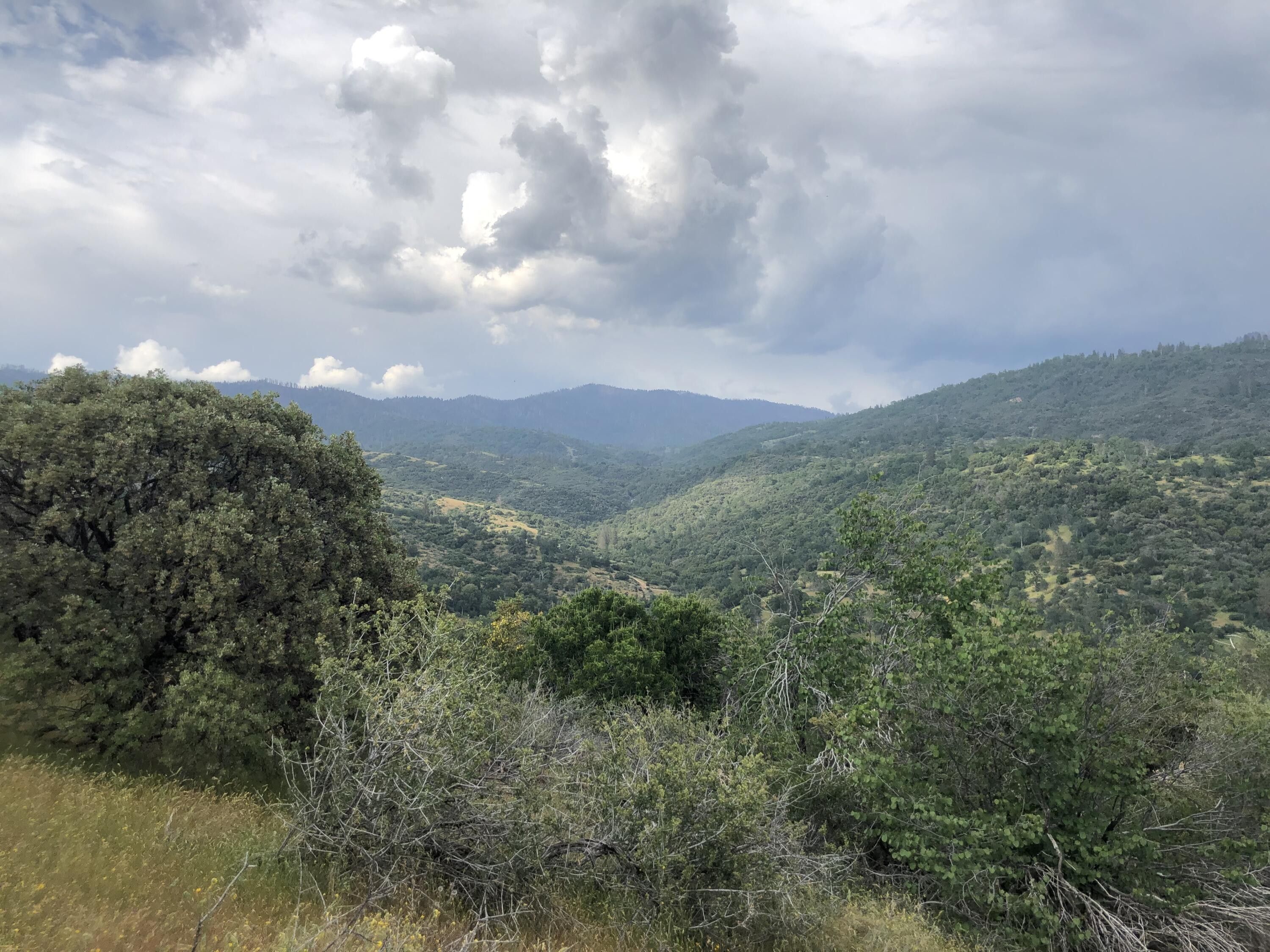 Badger, Tulare County, CA Undeveloped Land, Homesites for sale Property