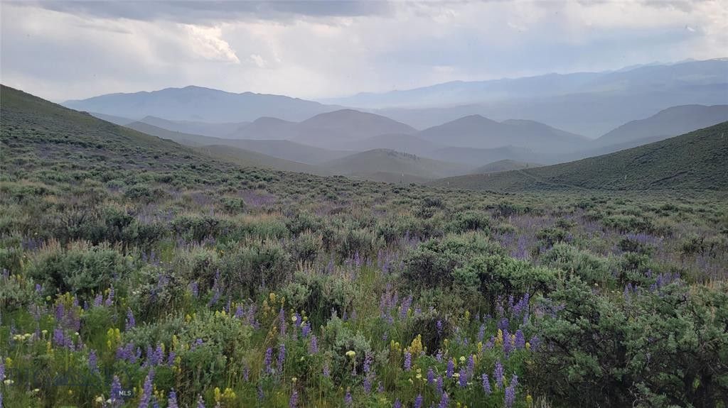 Melrose, Silver Bow County, MT Undeveloped Land for sale Property ID 414812449 LandWatch