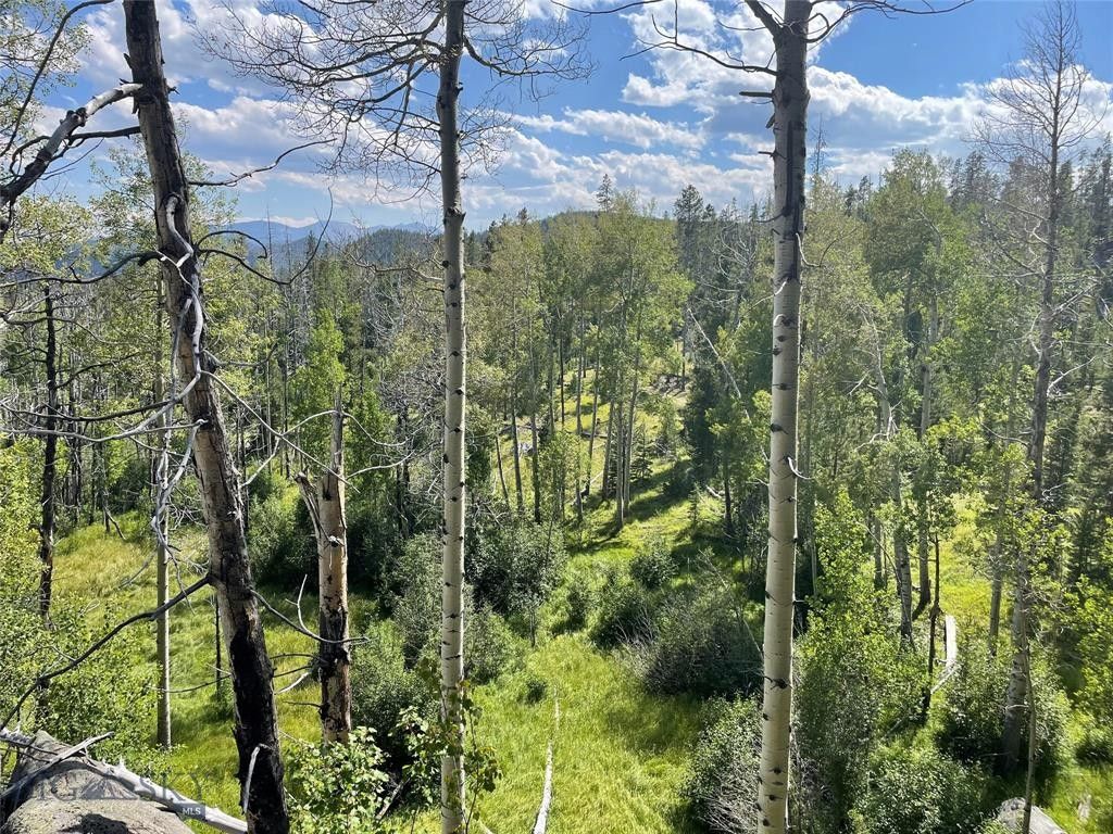 Butte, Jefferson County, MT Undeveloped Land for sale Property ID