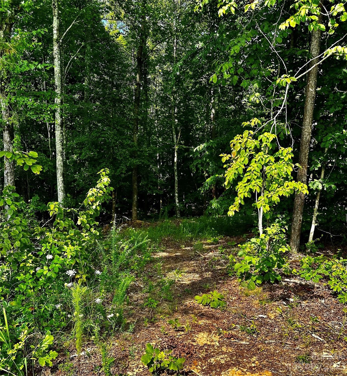 Blacksburg, Cherokee County, SC Undeveloped Land for sale Property ID 417150905 LandWatch