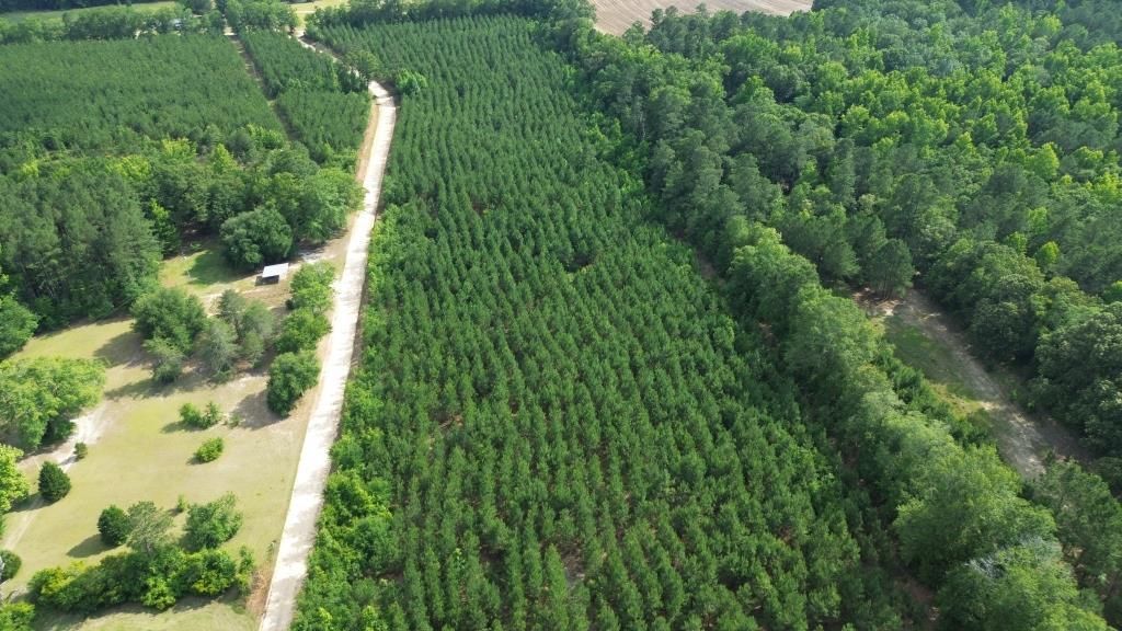 15 acres in Norway, SC, 29113 MLS 3061ANorway Tract LandWatch