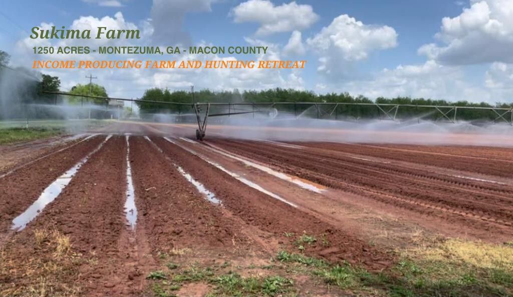 Montezuma, Macon County, GA Farms and Ranches for sale Property ID