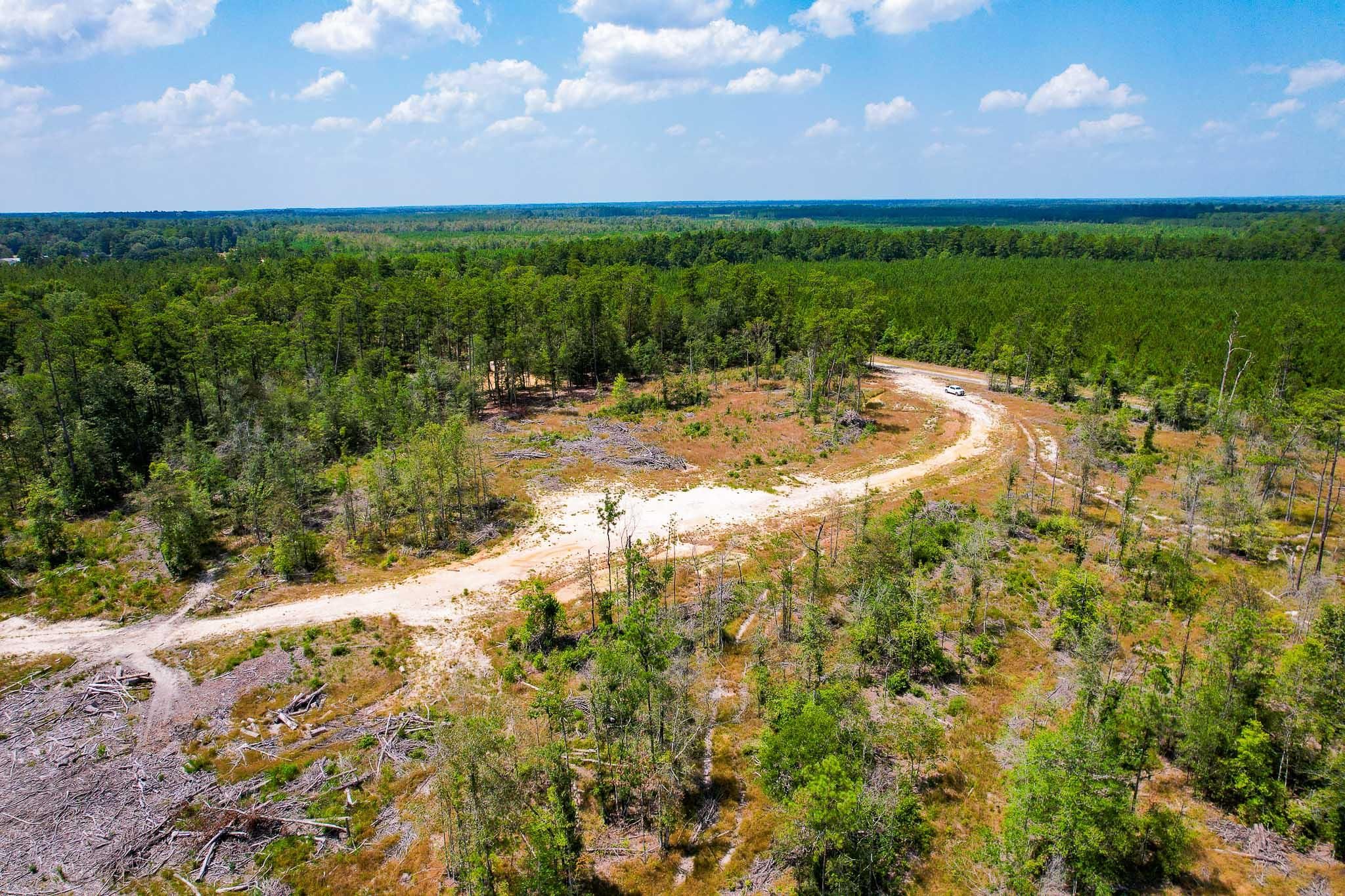 Buna, Jasper County, TX Recreational Property, Undeveloped Land for sale Property ID 417152592