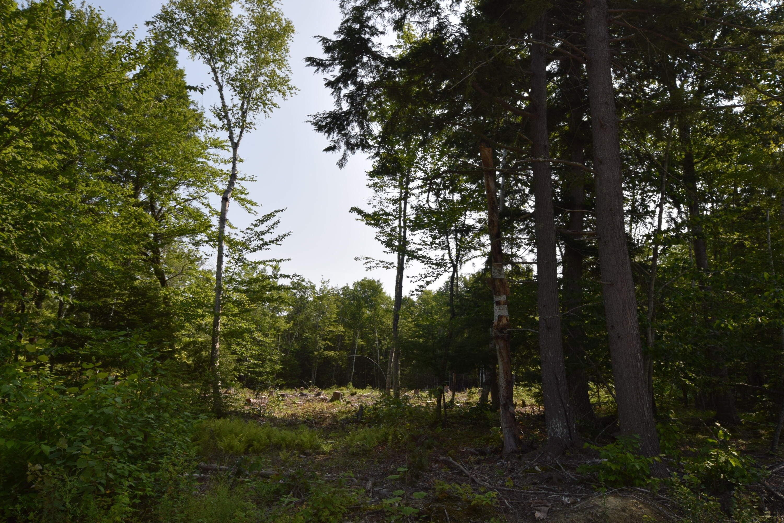 Eddington, Penobscot County, ME Farms and Ranches, Homesites for sale