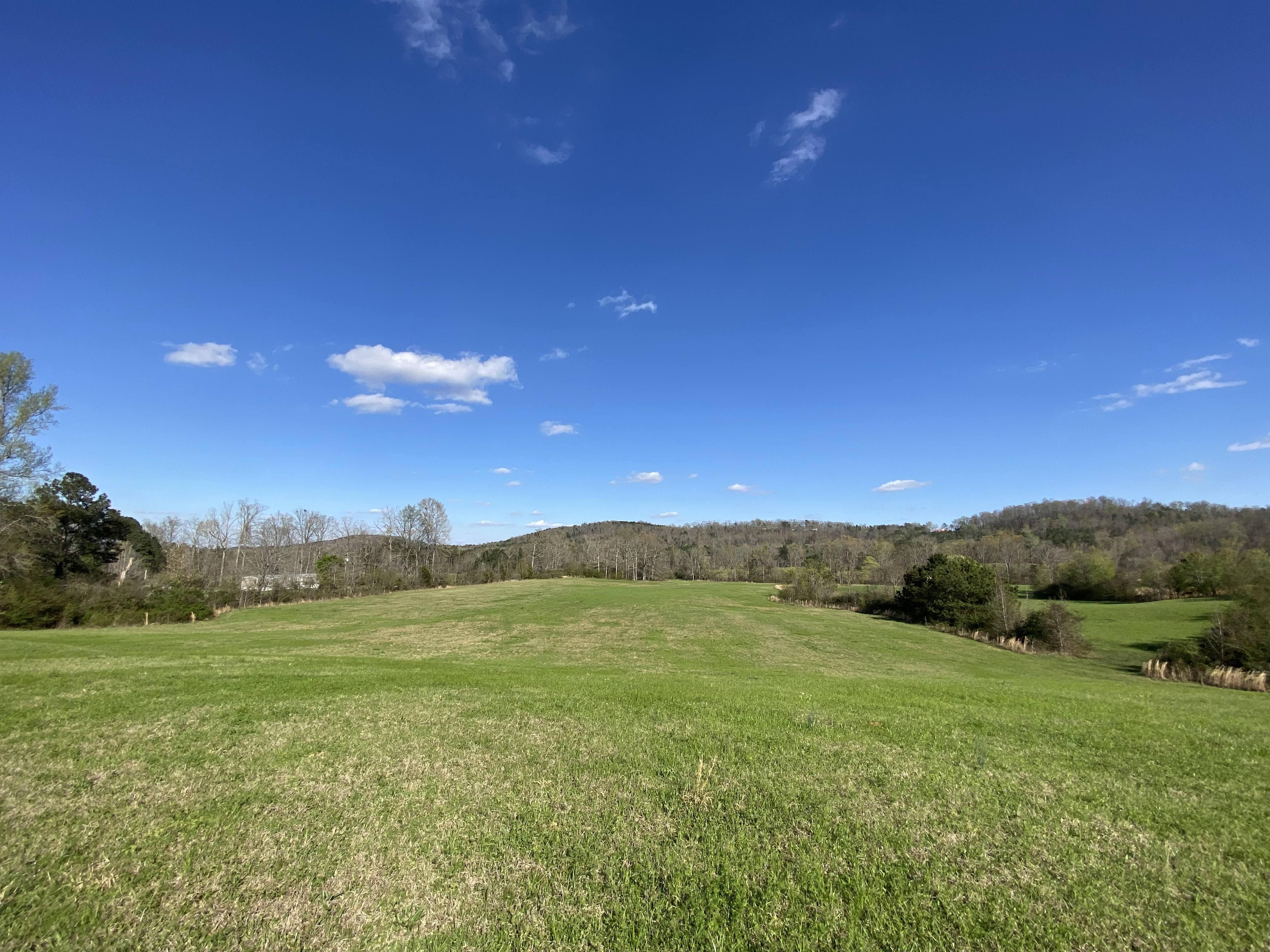 Highway 174, Springville, AL 35146 LandWatch