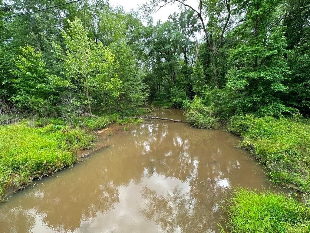 137 acres in Winnsboro, SC, 29180 MLS 3029ELandis South Tract