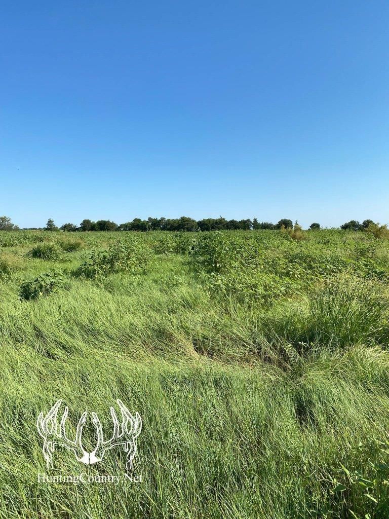 105 acres in Meade, KS, 67864 MLS KS546 LandWatch