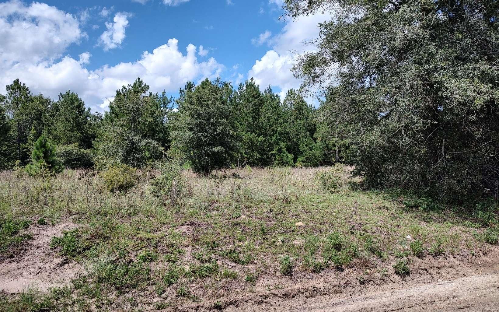 Branford, Dixie County, FL Farms and Ranches, Horse Property for sale