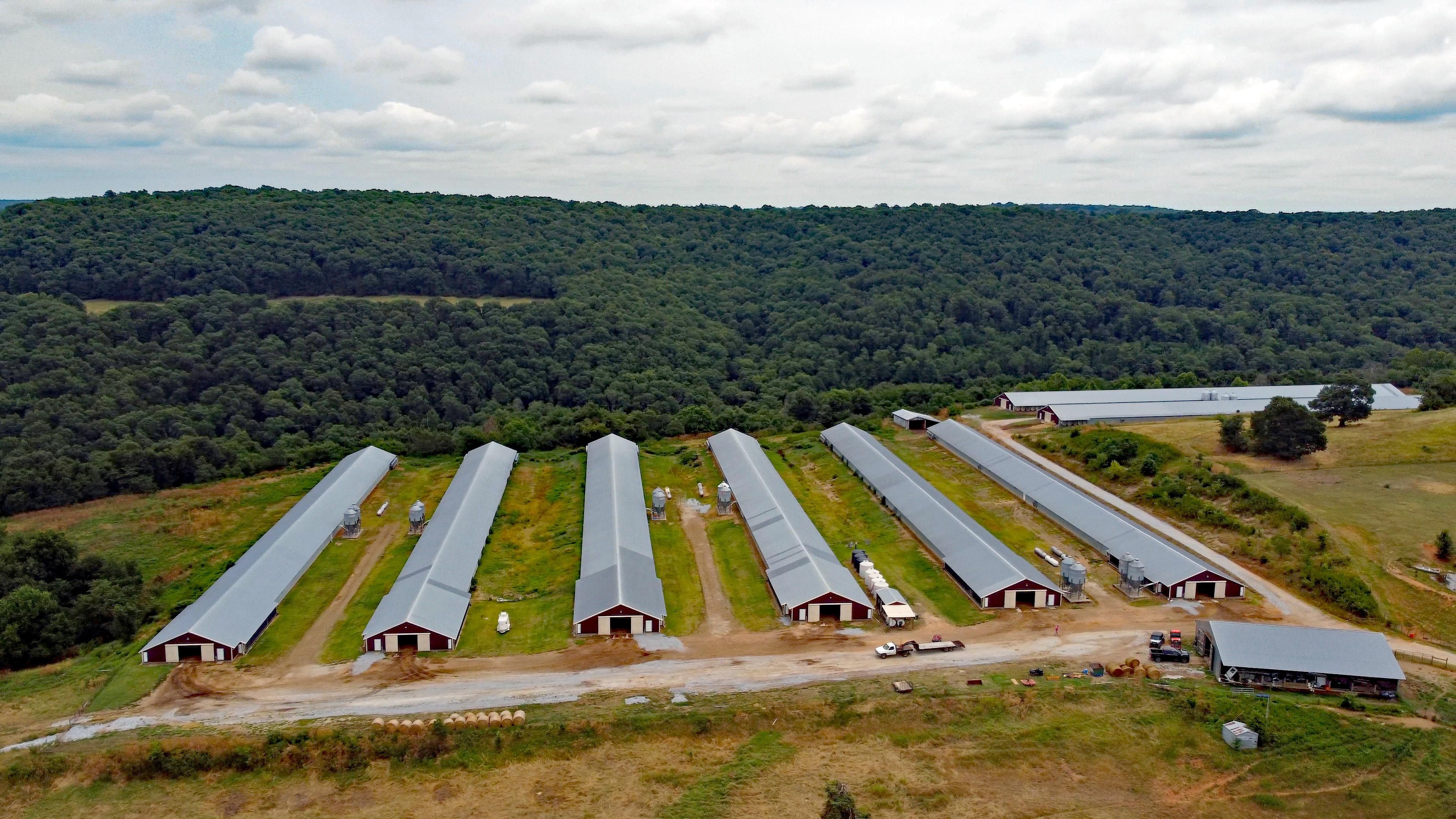 Wesley, Madison County, AR Farms and Ranches, Commercial Property