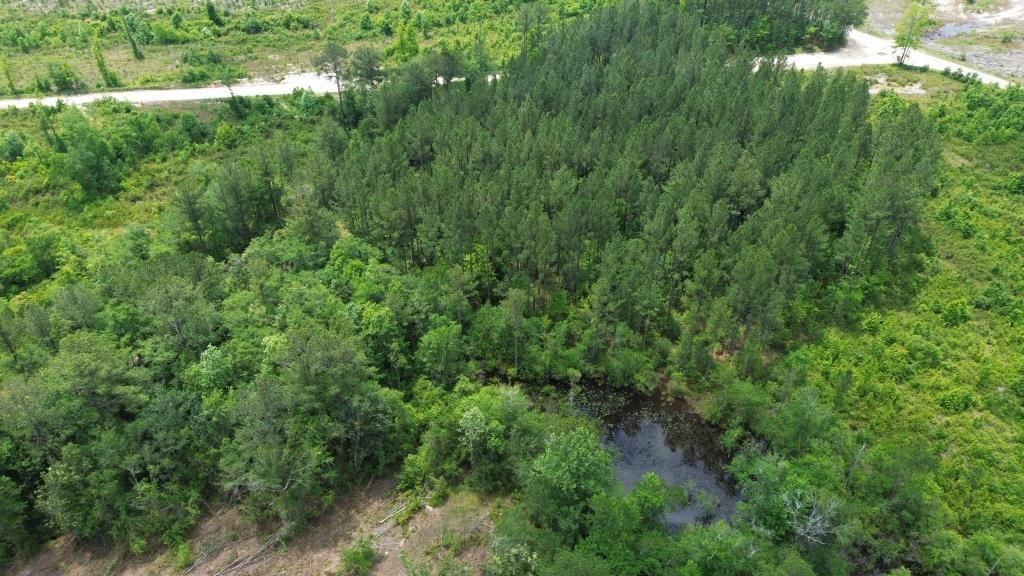 97 acres in Batesburg, SC, 29070 MLS 3044NLightwood Creek Tract