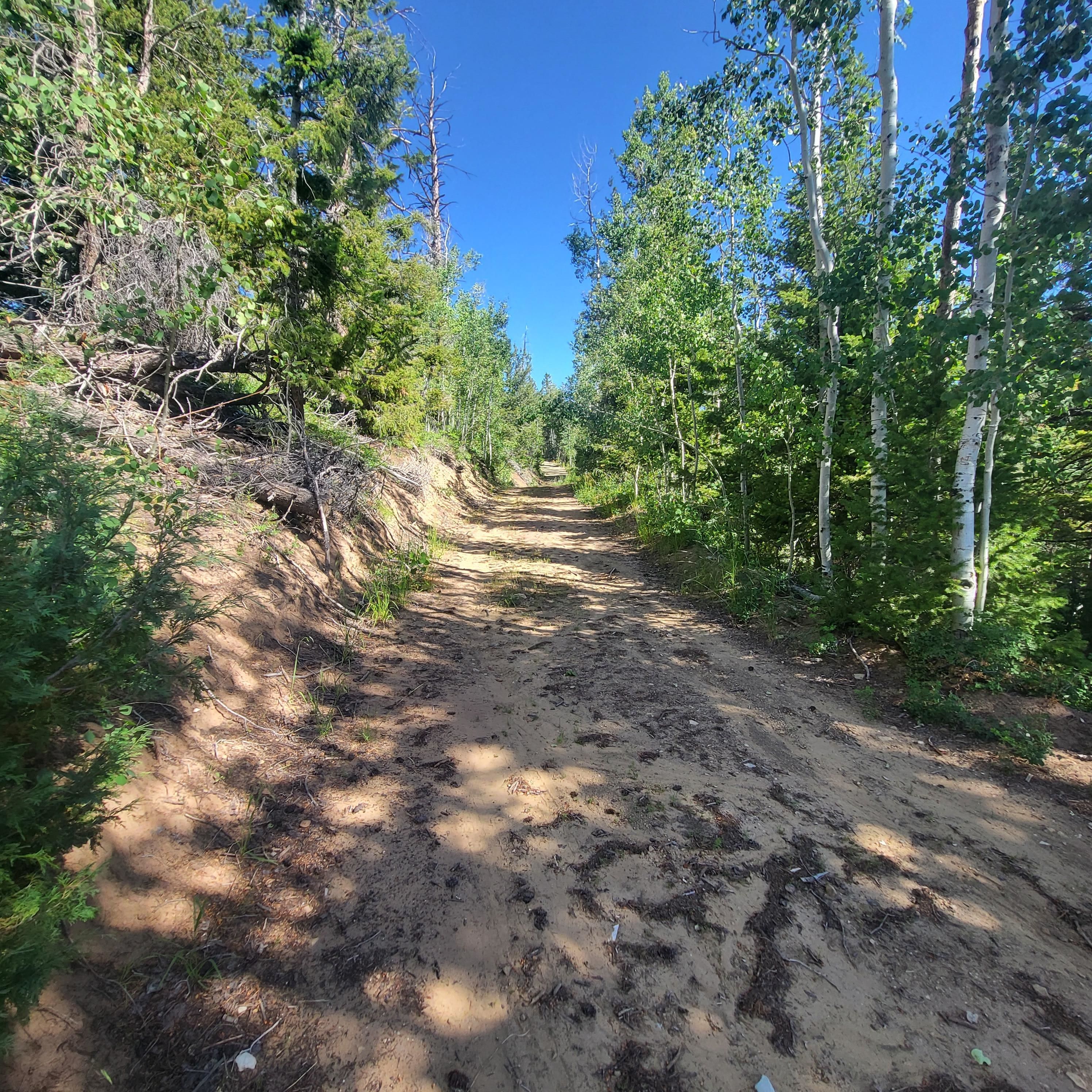 Duchesne, Duchesne County, UT Recreational Property, Timberland