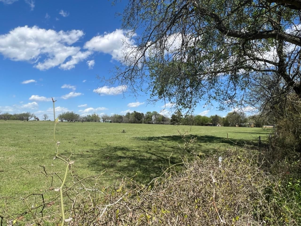 Shotgun Crossing, Rains County, TX Farms and Ranches, Recreational