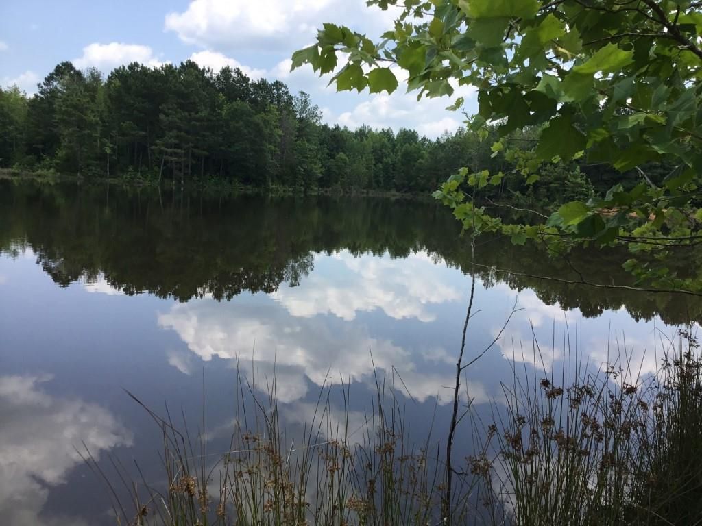 Kinards, Laurens County, SC Recreational Property, Commercial Property