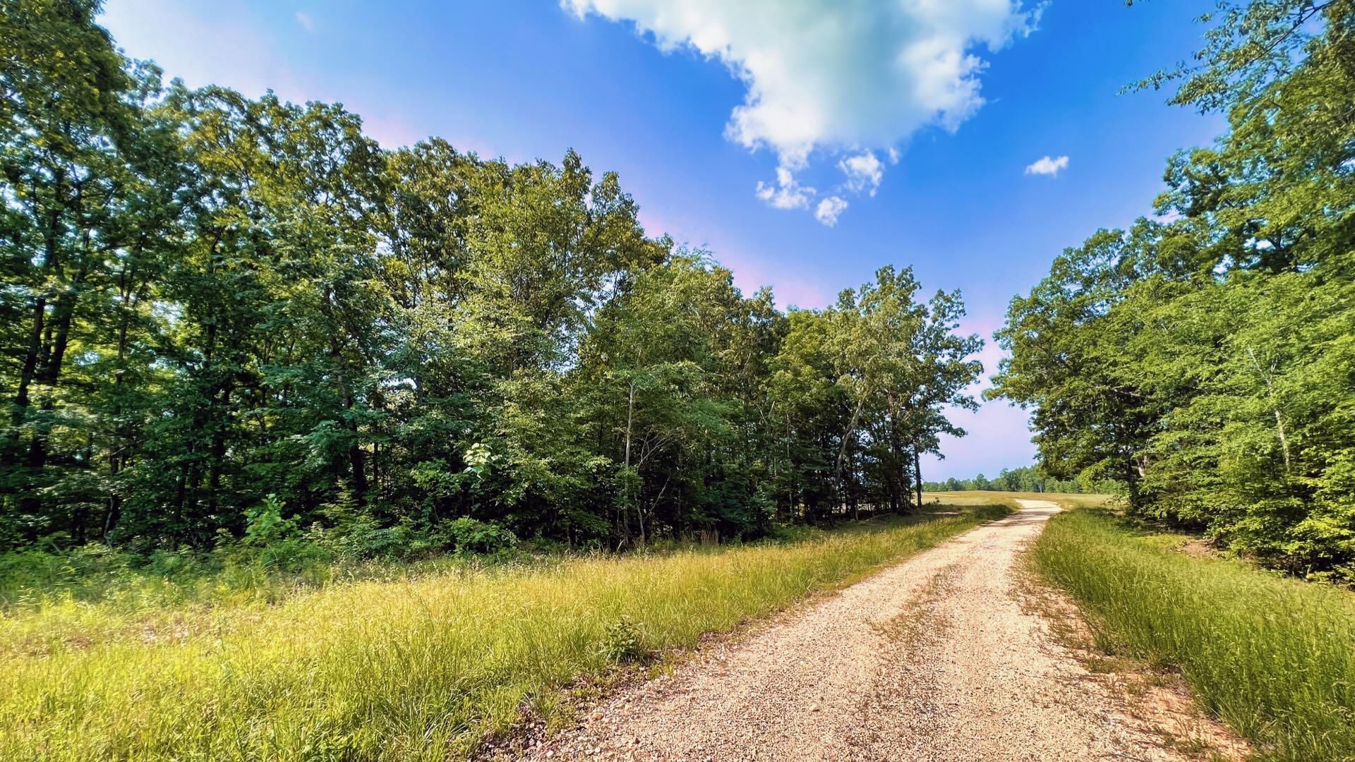 Indian Mound, Stewart County, TN Recreational Property, Undeveloped