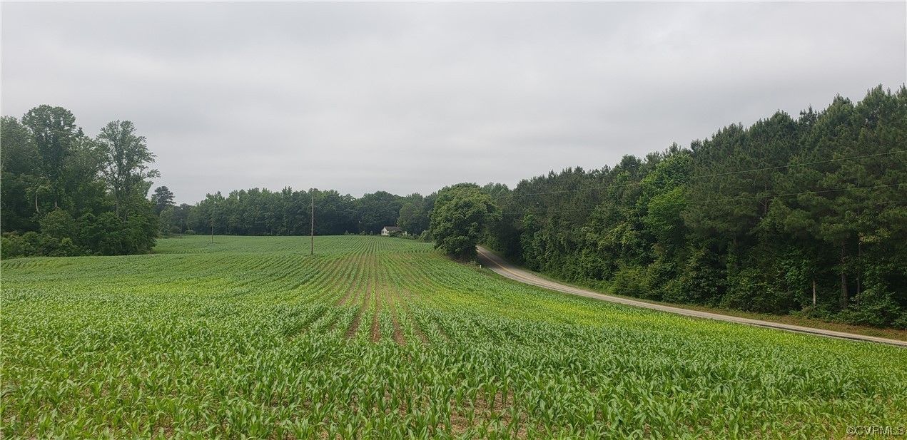 Stevensville, King and Queen County, VA Undeveloped Land, Lakefront
