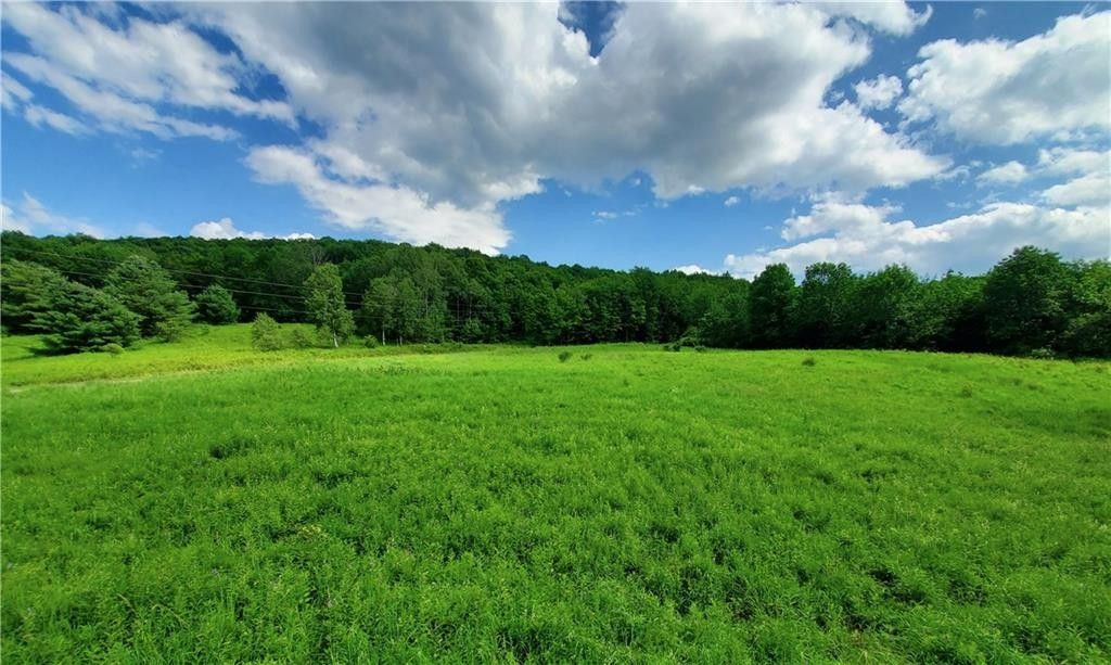 Meridale, Delaware County, NY Undeveloped Land for sale Property ID
