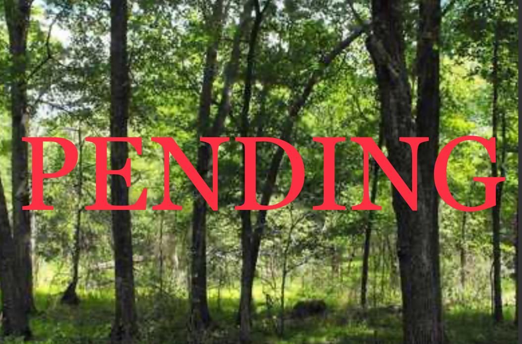 Frostproof, Polk County, FL Recreational Property, Undeveloped Land