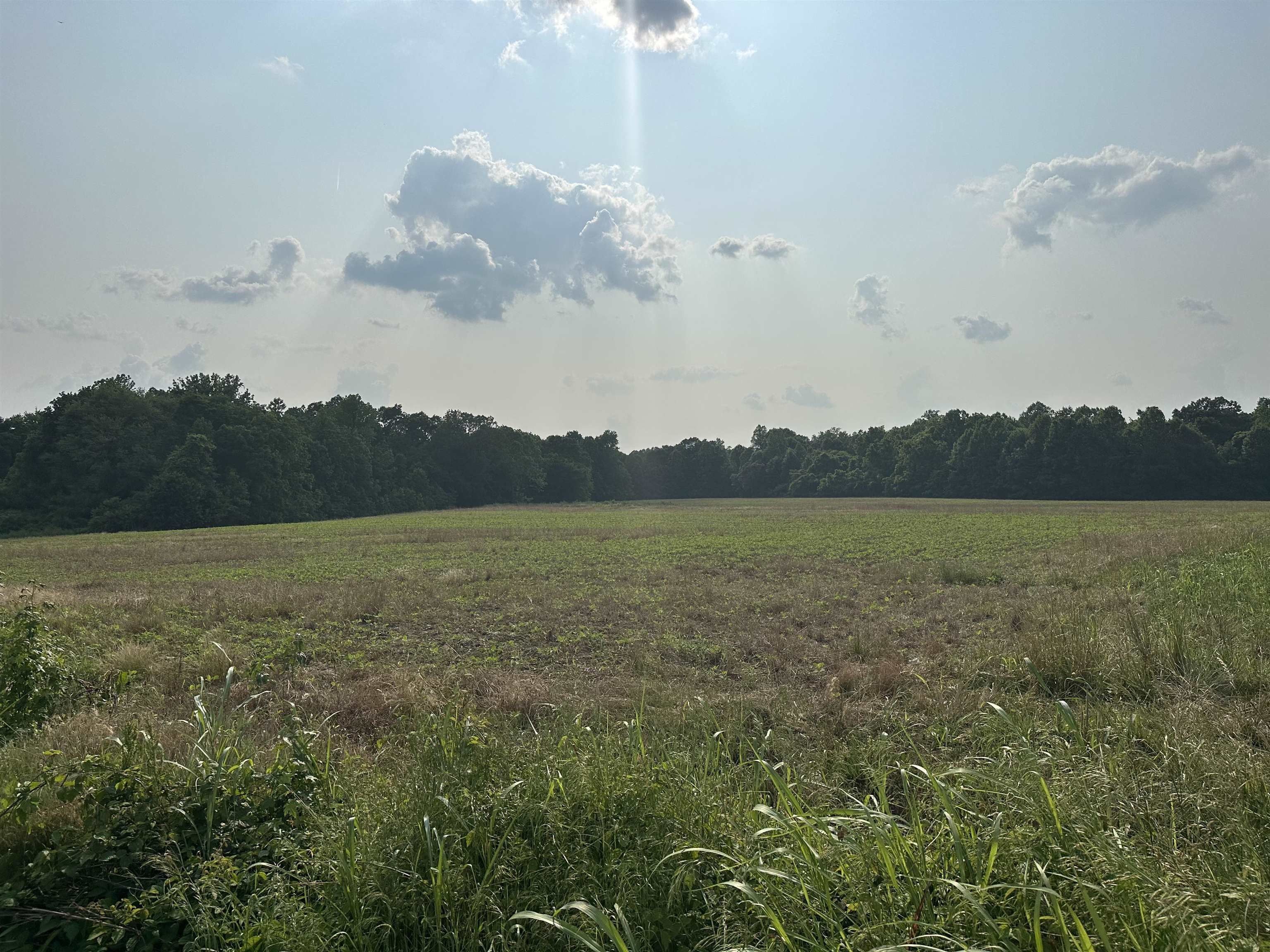 Cedar Grove, Carroll County, TN for sale Property ID 417155909 LandWatch