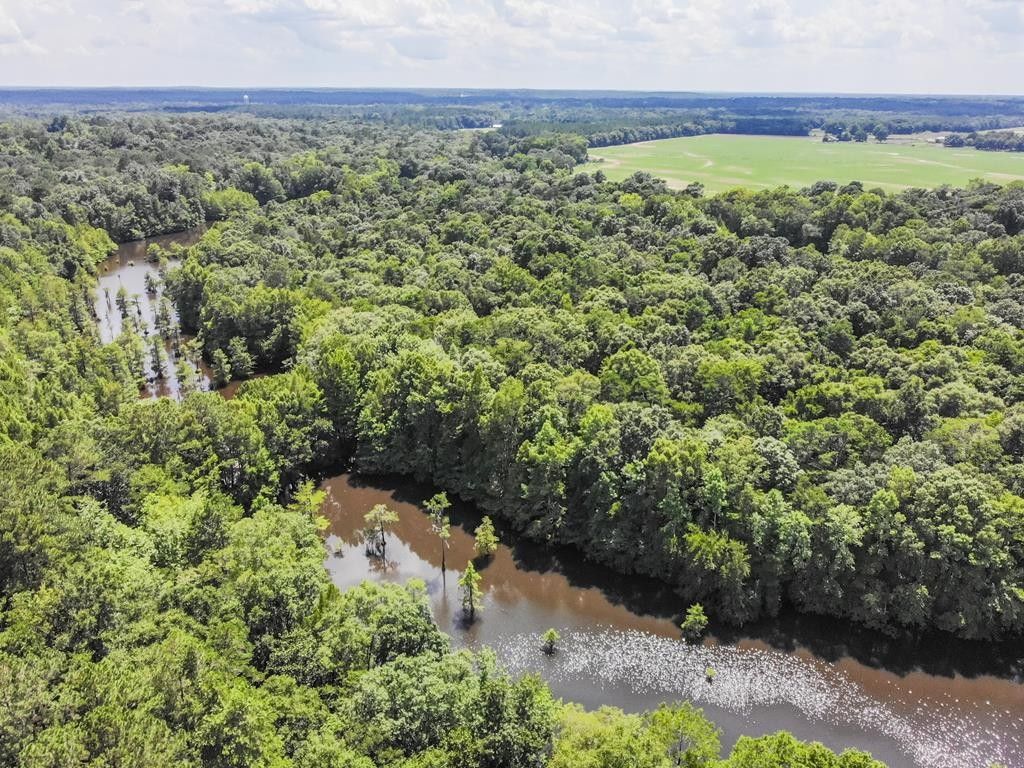 Hartford, Geneva County, AL Undeveloped Land, Lakefront Property