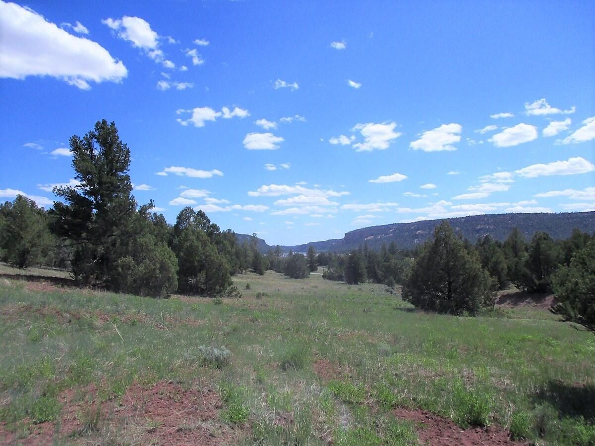 Ramah, Cibola County, NM Undeveloped Land for sale Property ID 417156301 LandWatch