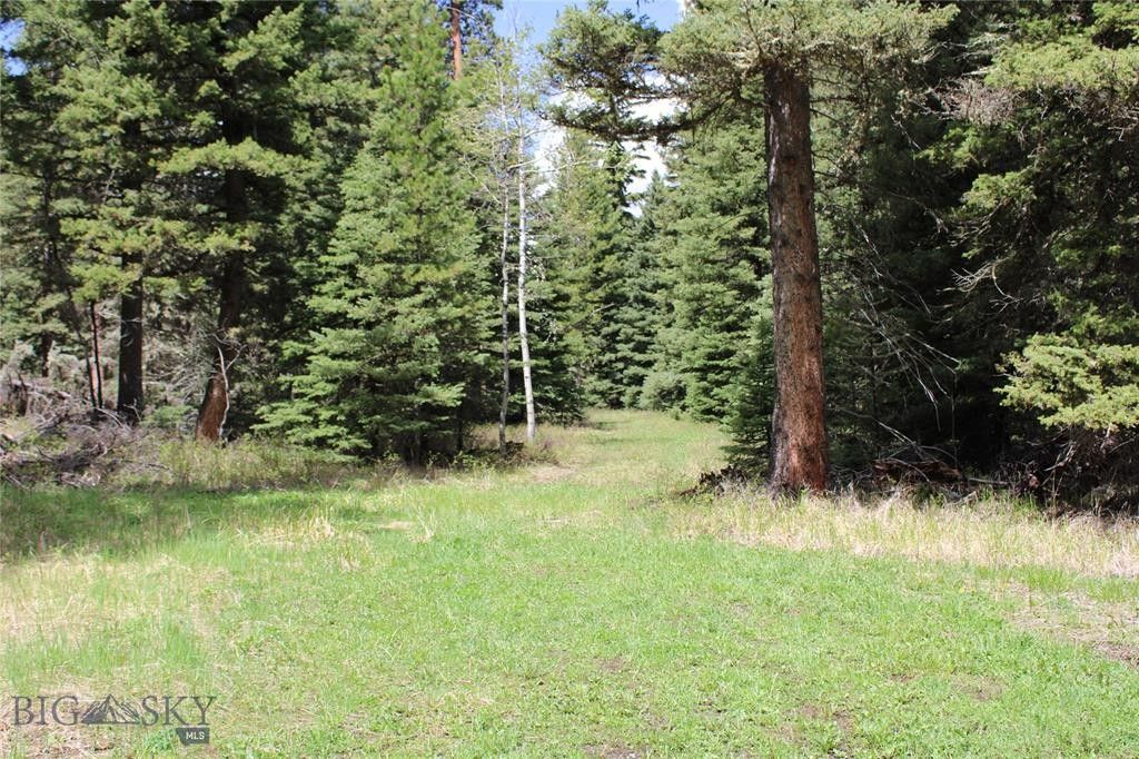 Wilsall, Meagher County, MT Undeveloped Land, Homesites for sale