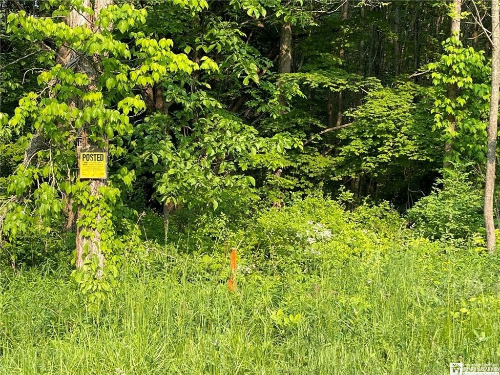 Mayville, Chautauqua County, NY Undeveloped Land for sale Property ID