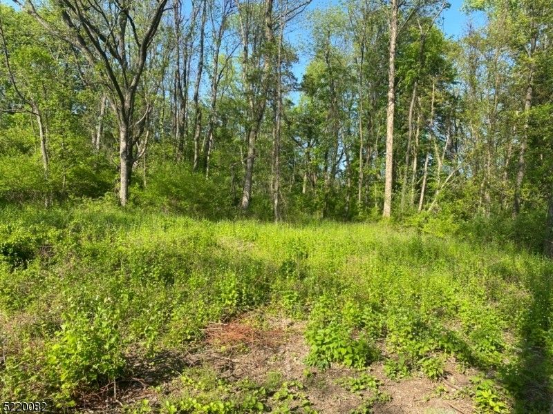 Blairstown, Warren County, NJ Farms and Ranches for sale Property ID