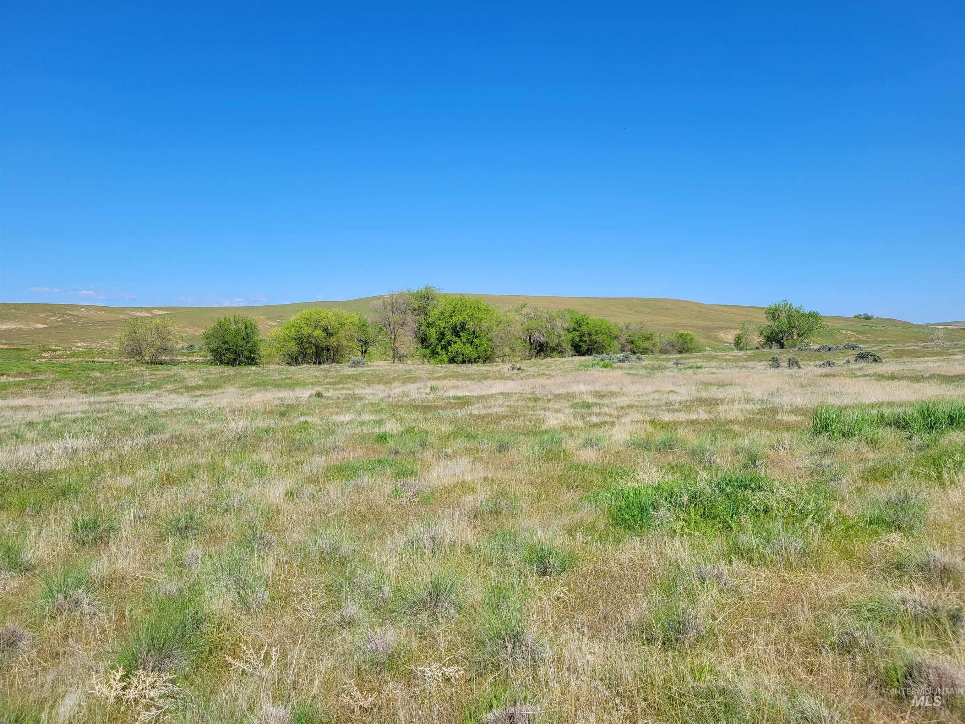 Parma, Payette County, ID Undeveloped Land for sale Property ID