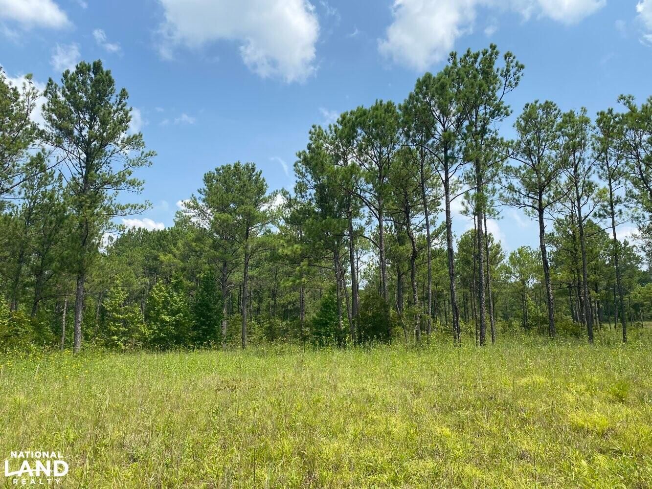 00 Ross Road, Hurtsboro, AL 36860 LandWatch